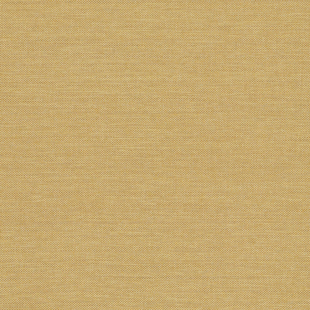 Classic Plain II Fabric
