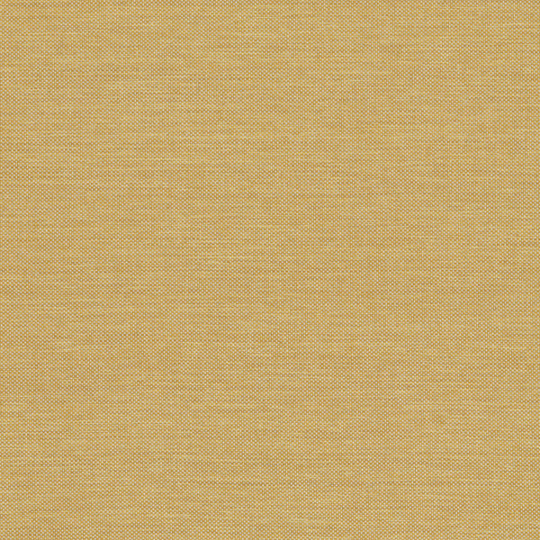 Classic Plain II Fabric