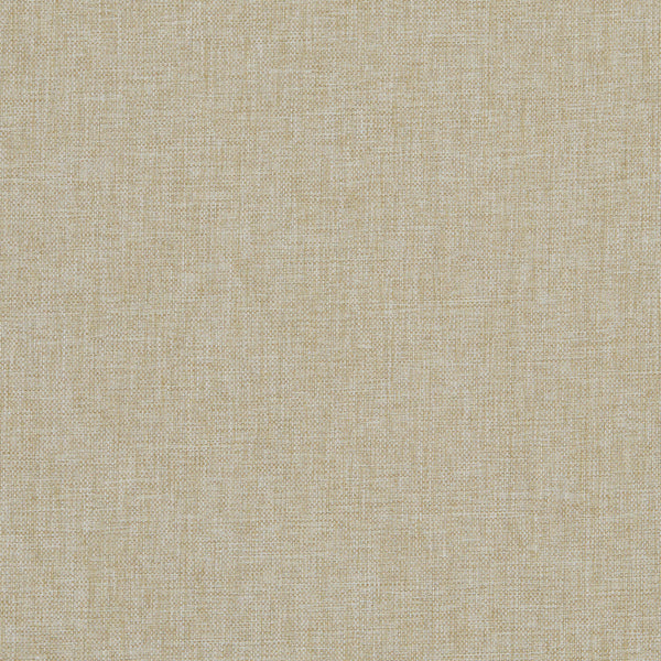 Classic Plain II Fabric