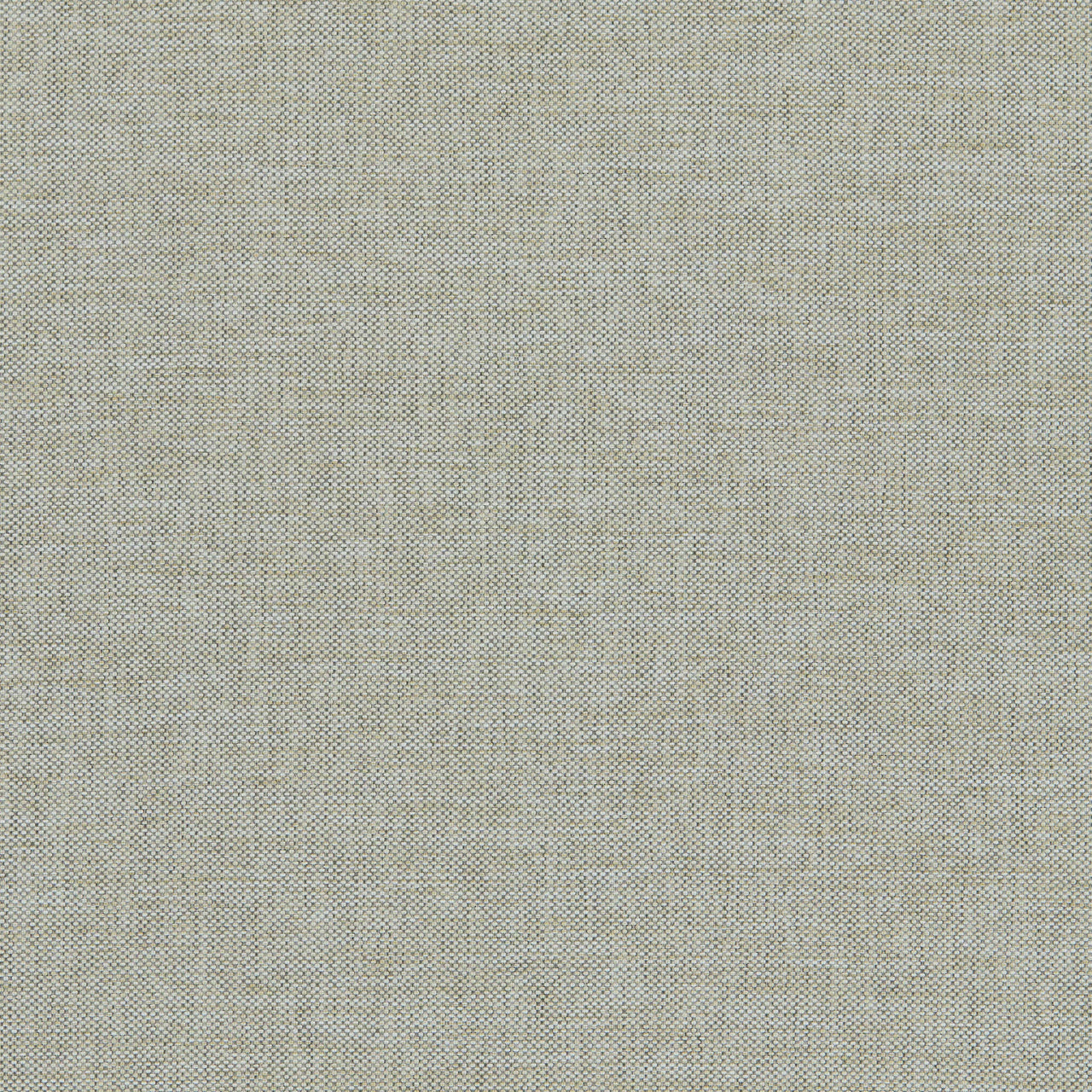 Classic Plain II Fabric