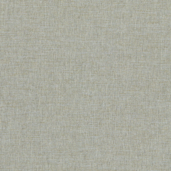 Classic Plain II Fabric